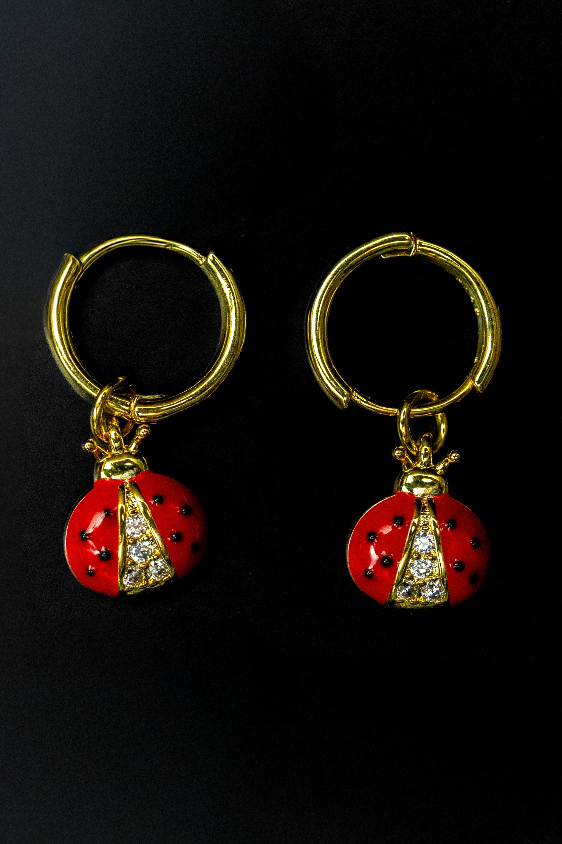 Pendientes de catarina