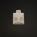 Aretes herradura